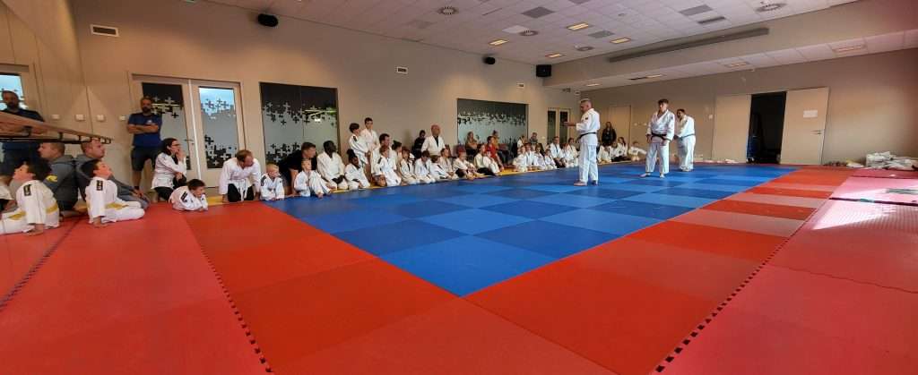 judodalfsen.nl judoexamen kids110722a