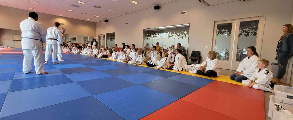 judodalfsen.nl judoexamen kids110722b