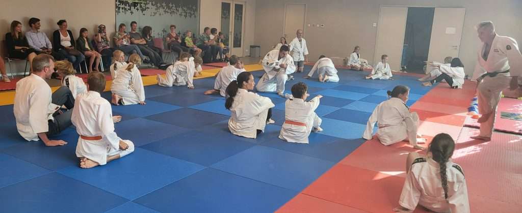judodalfsen.nl judoexamen kids110722c